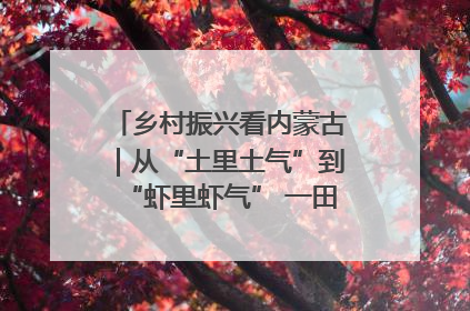 乡村振兴看内蒙古｜从“土里土气”到“虾里虾气” 一田双收模式火出圈