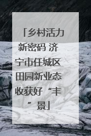 乡村活力新密码 济宁市任城区田园新业态收获好“丰”景