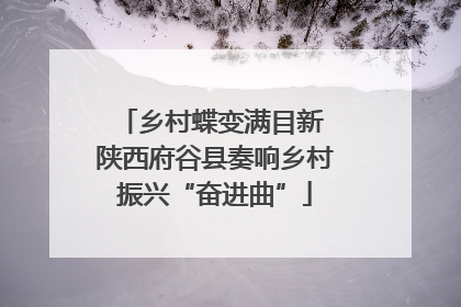 乡村蝶变满目新 陕西府谷县奏响乡村振兴“奋进曲”