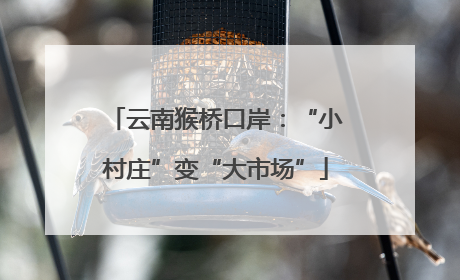 云南猴桥口岸：“小村庄”变“大市场”