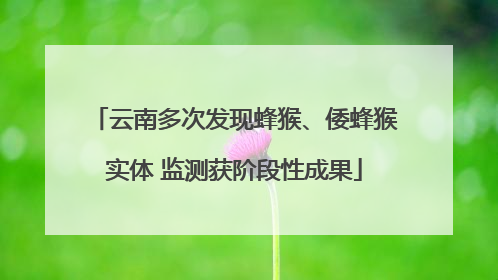 云南多次发现蜂猴、倭蜂猴实体 监测获阶段性成果