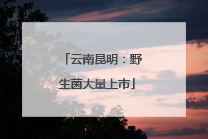 云南昆明：野生菌大量上市