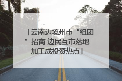 云南边境州市“组团”招商 边民互市落地加工成投资热点