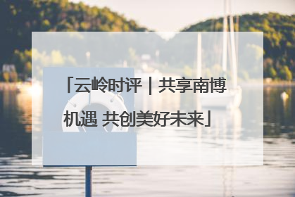 云岭时评｜共享南博机遇 共创美好未来
