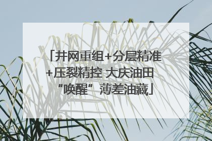 井网重组+分层精准+压裂精控 大庆油田“唤醒”薄差油藏
