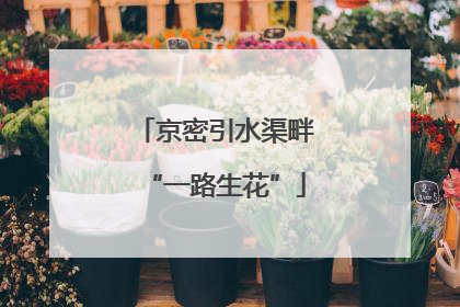 京密引水渠畔“一路生花”