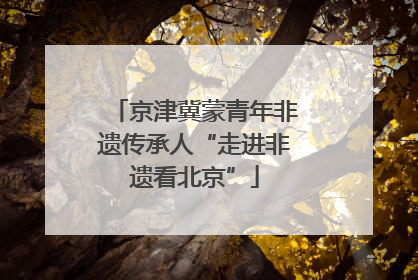 京津冀蒙青年非遗传承人“走进非遗看北京”