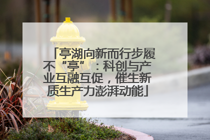 亭湖向新而行步履不“亭”：科创与产业互融互促，催生新质生产力澎湃动能