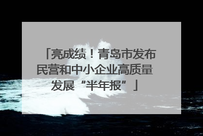 亮成绩！青岛市发布民营和中小企业高质量发展“半年报”