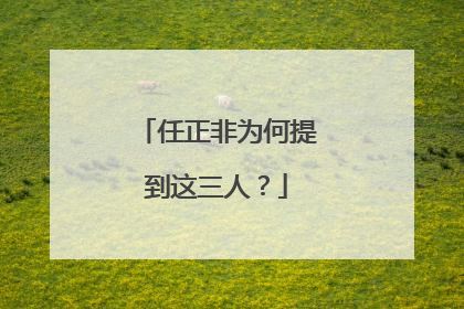 任正非为何提到这三人？