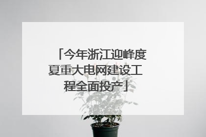 今年浙江迎峰度夏重大电网建设工程全面投产
