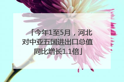 今年1至5月，河北对中亚五国进出口总值同比增长1.1倍