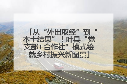 从“外出取经”到“本土结果”！叶县“党支部+合作社”模式绘就乡村振兴新图景