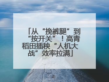 从“挽裤腿”到“按开关”！高青稻田插秧“人机大战”效率拉满