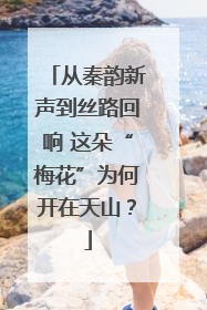 从秦韵新声到丝路回响 这朵“梅花”为何开在天山？