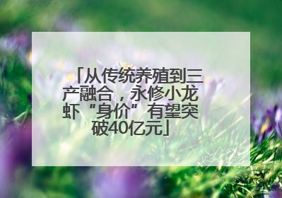 从传统养殖到三产融合，永修小龙虾“身价”有望突破40亿元