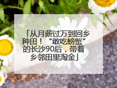 从月薪过万到回乡种田！“敢吃螃蟹”的长沙90后，带着乡邻田里淘金