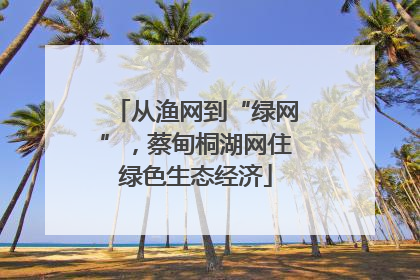 从渔网到“绿网”，蔡甸桐湖网住绿色生态经济