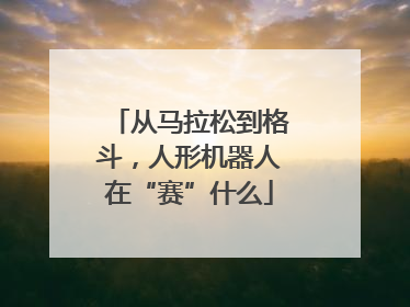 从马拉松到格斗，人形机器人在“赛”什么
