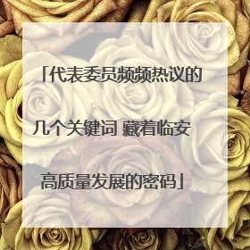 代表委员频频热议的几个关键词 藏着临安高质量发展的密码