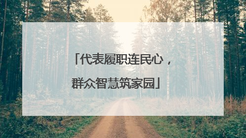 代表履职连民心，群众智慧筑家园
