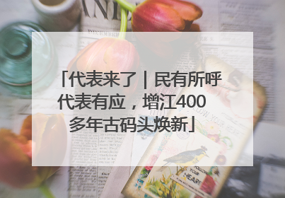 代表来了｜民有所呼代表有应，增江400多年古码头焕新