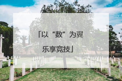 以“数”为翼 乐享竞技