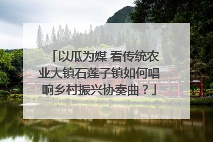 以瓜为媒 看传统农业大镇石莲子镇如何唱响乡村振兴协奏曲？