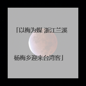以梅为媒 浙江兰溪杨梅乡迎来台湾客