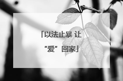 以法止暴 让“爱”回家