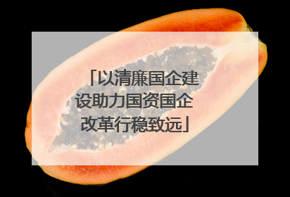 以清廉国企建设助力国资国企改革行稳致远