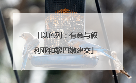 以色列：有意与叙利亚和黎巴嫩建交