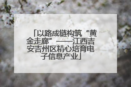 以路成链构筑“黄金走廊”——江西吉安吉州区精心培育电子信息产业