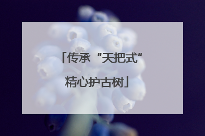 传承“天把式” 精心护古树