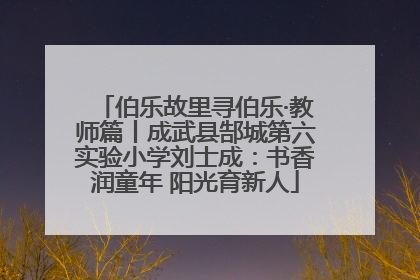 伯乐故里寻伯乐·教师篇丨成武县郜城第六实验小学刘士成：书香润童年 阳光育新人