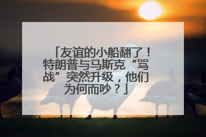 友谊的小船翻了！特朗普与马斯克“骂战”突然升级，他们为何而吵？