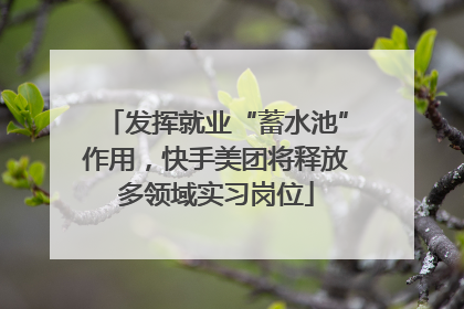 发挥就业“蓄水池”作用，快手美团将释放多领域实习岗位