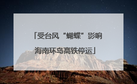 受台风“蝴蝶”影响 海南环岛高铁停运