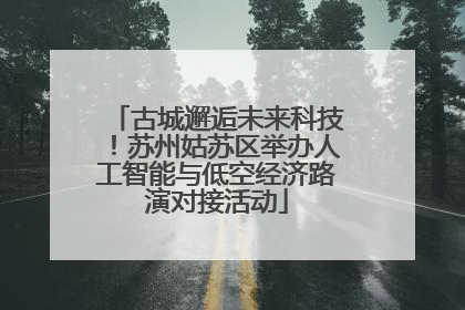 古城邂逅未来科技！苏州姑苏区举办人工智能与低空经济路演对接活动