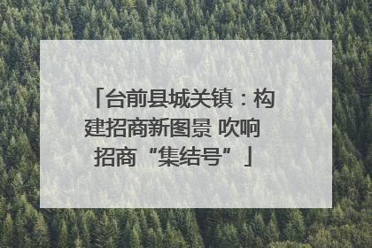 台前县城关镇：构建招商新图景 吹响招商“集结号”
