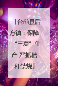 台前县后方镇：保障“三夏”生产 严抓秸秆禁烧