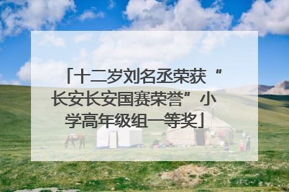 十二岁刘名丞荣获“长安长安国赛荣誉”小学高年级组一等奖