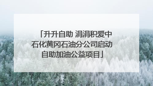 升升自助 涓涓积爱中石化黄冈石油分公司启动自助加油公益项目