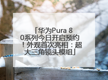 华为Pura 80系列今日开启预约！外观首次亮相：超大三角镜头模组