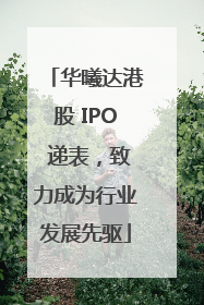 华曦达港股 IPO 递表，致力成为行业发展先驱