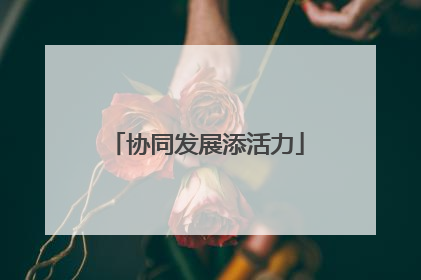 协同发展添活力