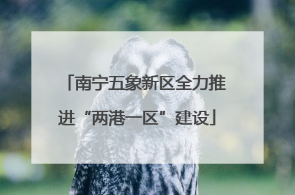 南宁五象新区全力推进“两港一区”建设