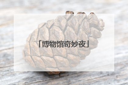 博物馆奇妙夜