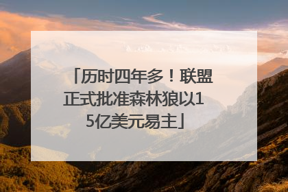 历时四年多！联盟正式批准森林狼以15亿美元易主