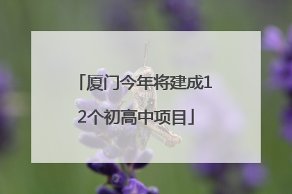 厦门今年将建成12个初高中项目